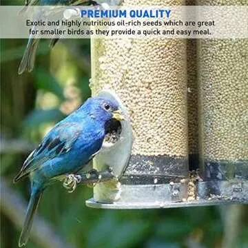 EasyGo Product White Millet Wild Bird Food – 50 lb