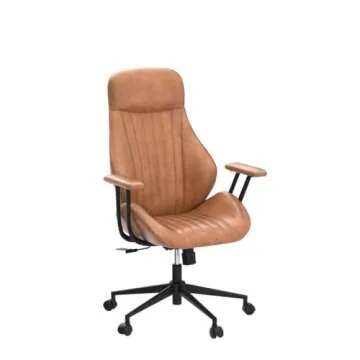 OvioS Mid Century Office Chair with Lumbar Support