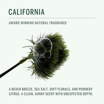 Corpus Natural Deodorant | Aluminum-Free Gel Formula