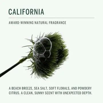 Corpus Natural Deodorant | Aluminum-Free Gel Formula