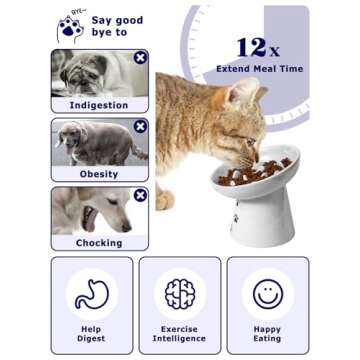 Y YHY Pet Feeder, Ceramic Cat Slow Feeder Bowl, 6 Inches, Elevated, Anti Vomiting for Dry and Wet Fo...