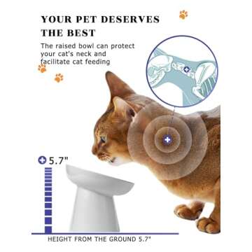Y YHY Pet Feeder, Ceramic Cat Slow Feeder Bowl, 6 Inches, Elevated, Anti Vomiting for Dry and Wet Food, White