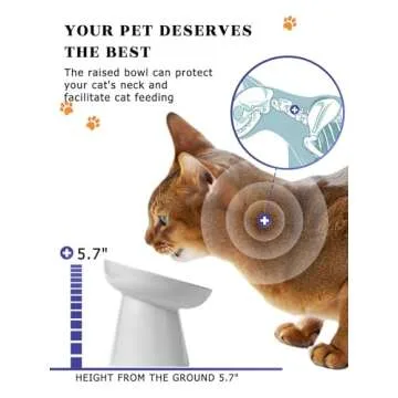 Y YHY Pet Feeder, Ceramic Cat Slow Feeder Bowl, 6 Inches, Elevated, Anti Vomiting for Dry and Wet Food, White