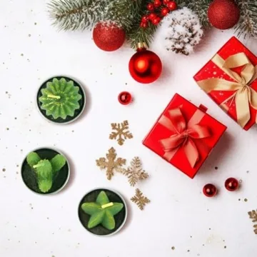 Succulent Cactus Candles Tealight Gift Set (6 Pcs)