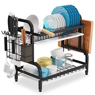 1Easylife 2-Tier Dish Drying Rack Rust-Proof Kitchen Organizer