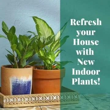 House Plant Shop | Pothos 'Golden' - 4" Pot |Live Indoor Plant | Easy to Care | Natural Décor Plant | Great Gifts| Free Care Guide