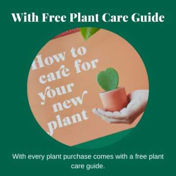 House Plant Shop | Pothos 'Golden' - 4" Pot |Live Indoor Plant | Easy to Care | Natural Décor Plant | Great Gifts| Free Care Guide