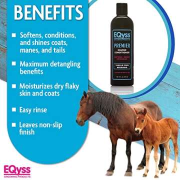 EQyss Premier Equine Conditioner - Moisturize Skin, Detangle Horse's Mane, Tail, & Coat, Add Shine, Tangle-Free Brushing, Minimize Flyaways (16 oz)