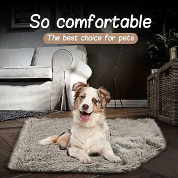 DENZUS Premium Soft Fleece Blanket for Pets