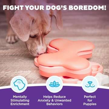 Outward Hound Nina Ottosson Puppy Tornado Dog Puzzle - Interactive Treat Fun
