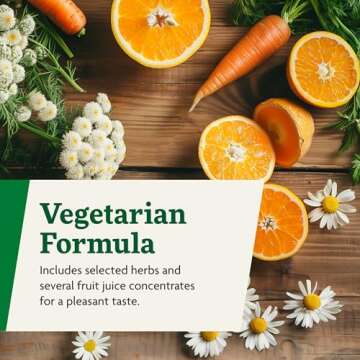 Floradix Magnesium - Liquid Herbal & Mineral Supplement for Bone Support, Digestive Health & More - Vegetarian, Non-GMO - 17 fl oz