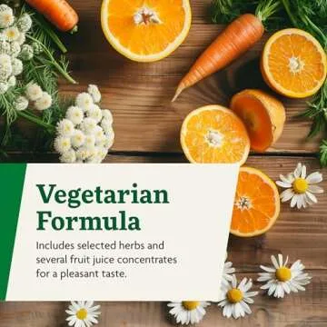 Floradix Magnesium - Liquid Herbal & Mineral Supplement for Bone Support, Digestive Health & More - Vegetarian, Non-GMO - 17 fl oz