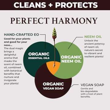 Big Leaf Energy Indoor Plant Wellness Spray 4-in-1