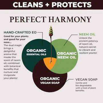 Big Leaf Energy Indoor Plant Wellness Spray 4-in-1