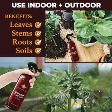 Big Leaf Energy Indoor Plant Wellness Spray 4-in-1