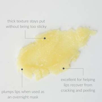 Osmia Organics Natural Lip Repair Overnight Mask + Hydrating Gloss | Clean Beauty For Healthy Skin (0.26 oz | 7.7 g)