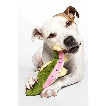 Fluff & Tuff Burt The Lake Trout Toy for Dogs