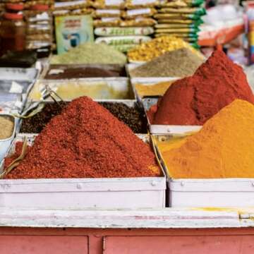 Patterns of India: A Journey Through Colors, Textiles, and the Vibrancy of Rajasthan