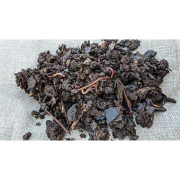 BROTHERS WORM FARM - 100 Count Red Wiggler Compost Worm Blend. Worms for Composting and Making Worm Castings at Home. Best Worm Species for Worm Composters, Gardens, and Worm Bins.