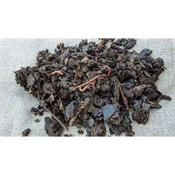 BROTHERS WORM FARM - 100 Count Red Wiggler Compost Worm Blend. Worms for Composting and Making Worm Castings at Home. Best Worm Species for Worm Composters, Gardens, and Worm Bins.
