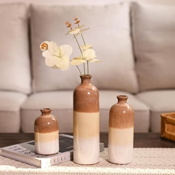 Stunning Ceramic Vases for Modern Decor and Gifting