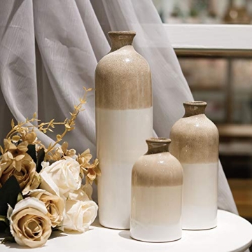 Stunning Ceramic Vases for Modern Decor and Gifting