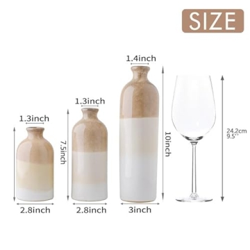 Stunning Ceramic Vases for Modern Decor and Gifting