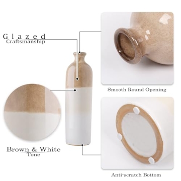 Stunning Ceramic Vases for Modern Decor and Gifting