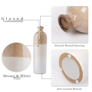 Stunning Ceramic Vases for Modern Decor and Gifting