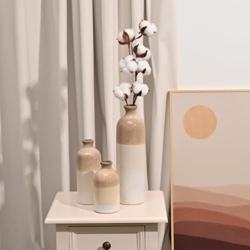 Stunning Ceramic Vases for Modern Decor and Gifting