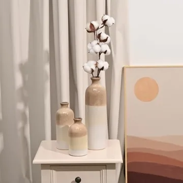 Stunning Ceramic Vases for Modern Decor and Gifting
