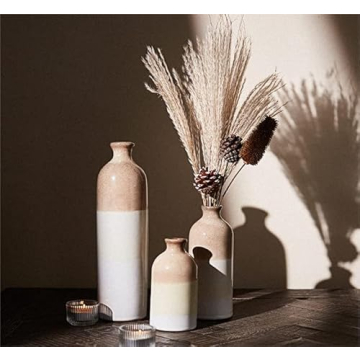 Stunning Ceramic Vases for Modern Decor and Gifting