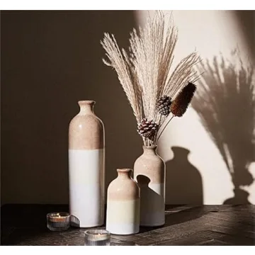 Stunning Ceramic Vases for Modern Decor and Gifting