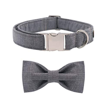 Stylish Lionet Paws Dog Collar with Bowtie for Small Pets