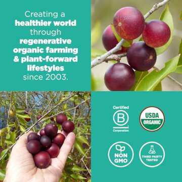 Navitas Organics Camu Camu Powder. Bag, 17 Servings — Organic, Non-GMO, Gluten-Free, 3 Ounce (Pack of 1) (858847000208)