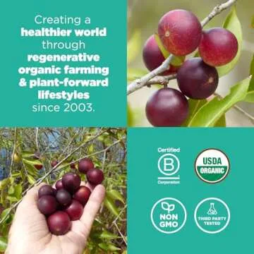 Navitas Organics Camu Camu Powder. Bag, 17 Servings — Organic, Non-GMO, Gluten-Free, 3 Ounce (Pack of 1) (858847000208)