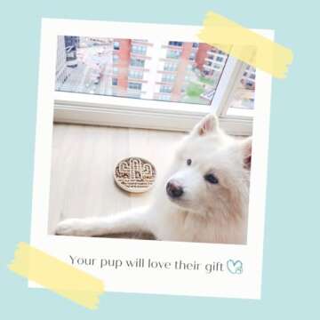 Cactus Slow Feeder Dog Bowls for Large Medium Small Breeds Silicone Non Slip Puzzle Bowl Puppy Essentials