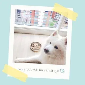 Cactus Slow Feeder Dog Bowls for Large Medium Small Breeds Silicone Non Slip Puzzle Bowl Puppy Essentials