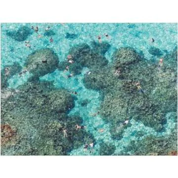 Galison Gray Malin 2-Sided Jigsaw Puzzle, The Beach, 500 Pieces - 24” x 18”, Double-Sided Puzzle with Vibrant Artwork, Perfect for Family Fun, Multicolor (0735357242)