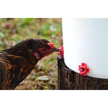 RentACoop DIY Poultry Waterer Kit - 6 Pack Horizontal Nipples