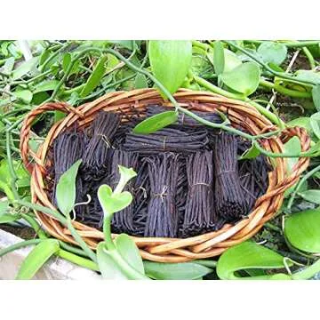 Bakto Flavors Pure Vanilla Extract Natural Flavoring