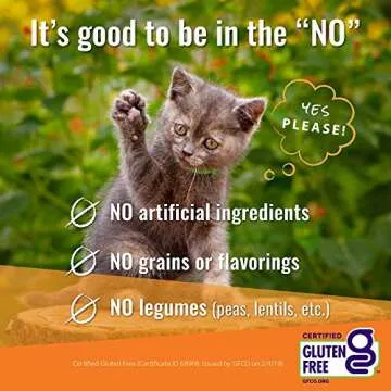 Vital Essentials Freeze Dried Minnows Treats for Cats
