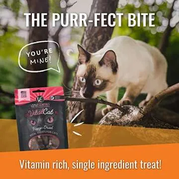 Vital Essentials Freeze Dried Minnows Treats for Cats