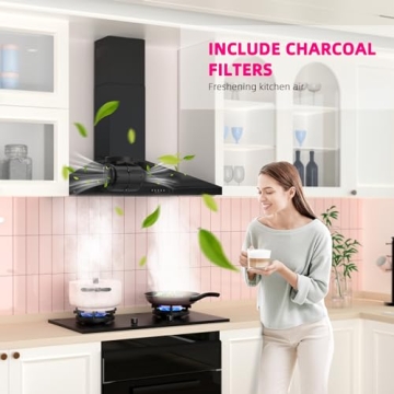 FIREGAS 30" Wall Mount Range Hood with 450 CFM