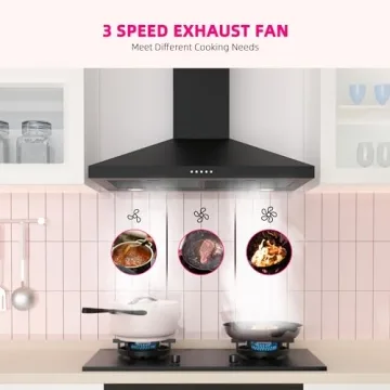 FIREGAS 30" Wall Mount Range Hood with 450 CFM