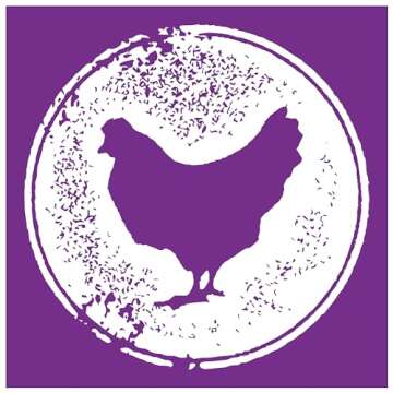 Dingo Twist Sticks, Premium Rawhide Treats For Dogs Made with Real Chicken 50-Count