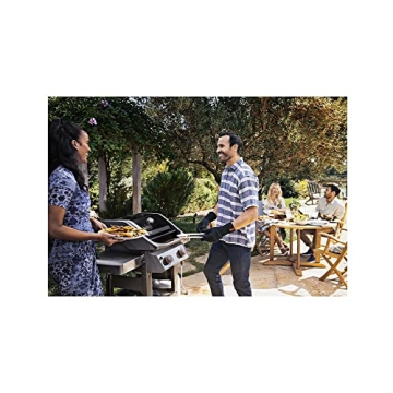 Compact Weber Spirit II E-210 Liquid Propane Grill