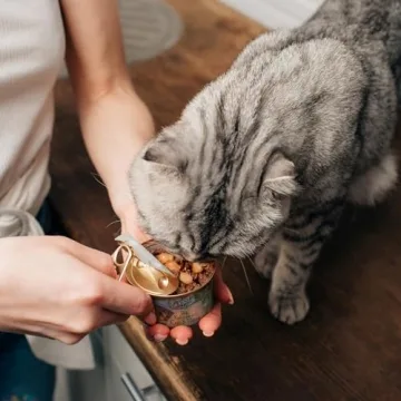 Evanger's Organic Turkey Dinner - Healthy Cat Food Delight