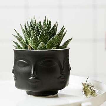 Poitemsic Ceramic Gold Face Planter Head Face Vase Home Decoration Succulent Cactus Indoor Plant Pot Versatility Designs