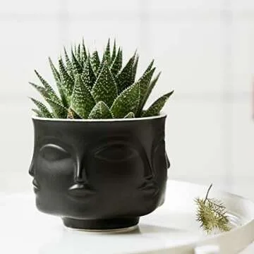 Poitemsic Ceramic Gold Face Planter Head Face Vase Home Decoration Succulent Cactus Indoor Plant Pot Versatility Designs